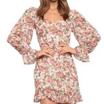 Petal and Pup Floralette Mini Ivory Vintage Floral Print Open Tie Back size 10 NWT Photo 0