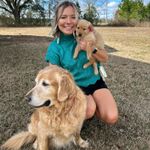 Boutique Sweater  Knit Photo 2