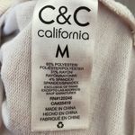 C&C California  Neutrals Stripe Hoodie Medium Photo 3