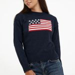 Suite Benedict American Flag Sweater Photo 0