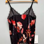 Molly Bracken  Ashley Velvet and Lace Sleeveless Camisole M Photo 5