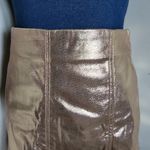 Wild Fable Rose Gold Metallic Mini Skirt Photo 2