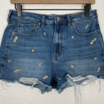 American Eagle  Floral Embroidered Distressed Mom Short Size 6 Photo 0