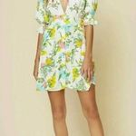 Faithfull the Brand  Caliente Mini Dress In Ilona Floral Print Photo 5