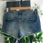 Free People  Distressed Look and Raw Hem Denim Shorts Photo 8