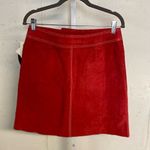 Newport News  Suede Front Zip Mini Skirt Photo 5