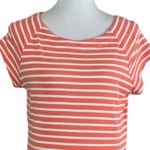 Dress Barn Women’s Tee Shirt Scoop Neck Short Sleeve Cotton Stripe Size Large Photo 4