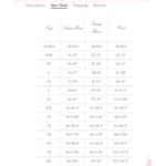 NWT Selkie x Free People Princess in Gray Heritage Organza Puff Mini Dress M Size M Photo 11