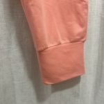 Fabletics NWT  Luxe Terry Joggers- Pink Dust Photo 2