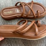 Seychelles  “Rule The World” Strappy Sandal Photo 0