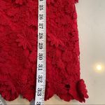 Anthropologie Thistlepearl red floral lace mini dress size 4 Photo 7