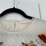 ZARA  Embroidered Ruffle Babydoll Top Photo 2