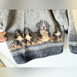 VTG Bear Ridge Dog Zip Up Bernese Mountain Dog Cozy Gray Fleece Jacket Size XS S Photo 6
