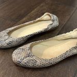 Stuart Weitzman Women's  Snakeskin Ballet Flats Shoes Sz 7 M Photo 0