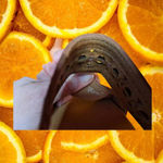 Clarks Red Sandals With Design on top Strap and 2in Heel Size 9M Photo 5