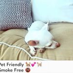 Volcom π΄ Lived in Lounge Sleeveless Tank Top Round Neckline - V back Photo 5