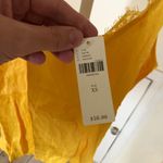 Anthropologie  Floreat NWT Women's Yellow Lace Cami Top Size XS Photo 5