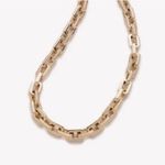 Eddie Borgo NWT  12k Gold Plated Supra Chain Link Necklace Photo 11