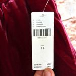 Anthropologie | Raspberry Montie Velvet Mini Skirt Photo 11