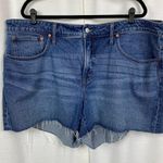 Madewell The Curvy Perfect Vintage Short Sz.22W Photo 5