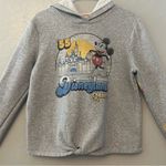 Disney ⭐️ Parks Disneyland resort vintage look crop hooded sweatshirt size medium Photo 1