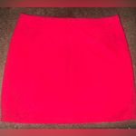 The Impeccable Pig  Embroidered lined skirt size medium Photo 3
