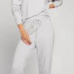 Negative club sweat sweatpants in Moon gray size small worn once excellent condi Photo 0