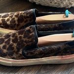 Saint Laurent  Venice Leopard-Print Slip On Sneakers Photo 2