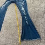 Red Fox  Distressed Blue Flare Jeans Photo 4