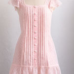 Vintage 80s Sheer Pink Swiss Dot Slip Dress by 3 Suisses Collection Lace Ruffle Photo 0