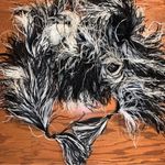 Black White Ostrich Feather Boa with Tassels Photo 0