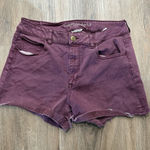 American Eagle  Shorts Womens‎ Size 14 Super Stretch Raw Hem Plum Purple Photo 0