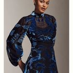 Anthropologie  velvet burnout Elegant Black and Blue Sheer Dress size medium Photo 7