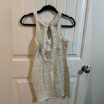 Windsor White/Silver Sparkle Mini Dress Photo 4