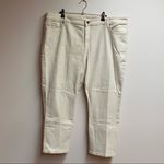 L.L.Bean  Favorite Fit Petite Off-White Jeans Photo 0