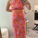 Antonio Melani  Dress Photo 0