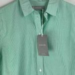 Everlane  Button Down Cotton Oversized Pinstripe Shirt Mint Green Size 0 Photo 3