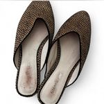 Gianni Bini  Slip on Mules Photo 0