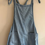 Aerie Blue Overalls Photo 0