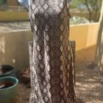 Olivia Rae  Bodycon Tank dress Photo 0