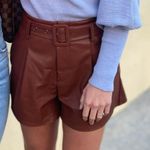Brown Leather Shorts Photo 0