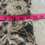 Alexis  Joaquin Lace Off the Shoulder Jumpsuit Photo 13