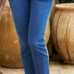 Frank & Eileen  Wicklow Italian Denim Crop  size 8 Photo 0