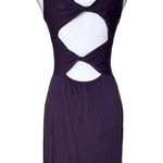 Made Brand Purple Cut Out Dress Size Small Photo 0