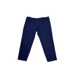 Eileen Fisher  Navy Blue Pull-on Ankle Pants 3X Plus Elastic Preppy Classic Photo 1