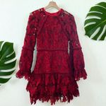 Beulah Scarlet Red Floral Lace Fransisca Mini Dress Photo 7