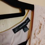 Adrianna Papell Size Medium M Light Pink Lace Blouse Top Career Business Chic Photo 5