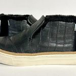 Toms Paxton Sneaker Photo 1