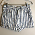 American Eagle blue and white stripe Mom Short size 2 Photo 0
