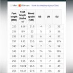 VEJA  V-12 Sneakers Photo 10